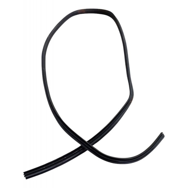 Borracha Porta Traseira Esquerda Ford New Fiesta 2015 2016