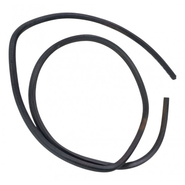 Borracha Porta Traseira Esquerda Ford New Fiesta 2015 2016