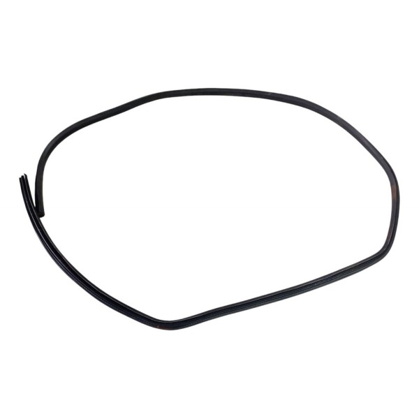 Borracha Porta Traseira Esquerda Ford New Fiesta 2015 2016