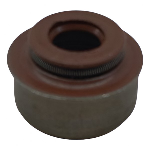 Retentor Haste Válvula Iveco Eurotech Eurostar