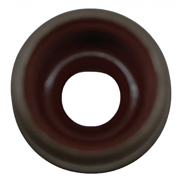 Retentor Haste Válvula Iveco Eurotech Eurostar