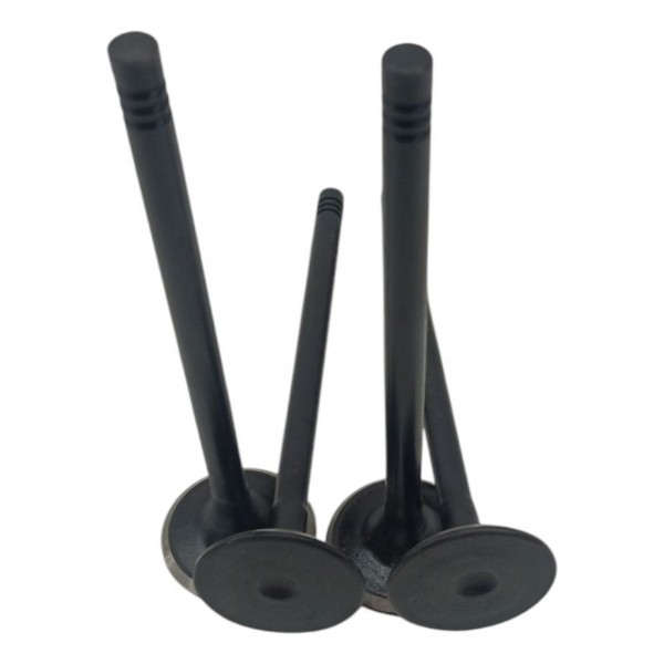 Válvula Escape Chevrolet Corsa 1.6 16v 2008