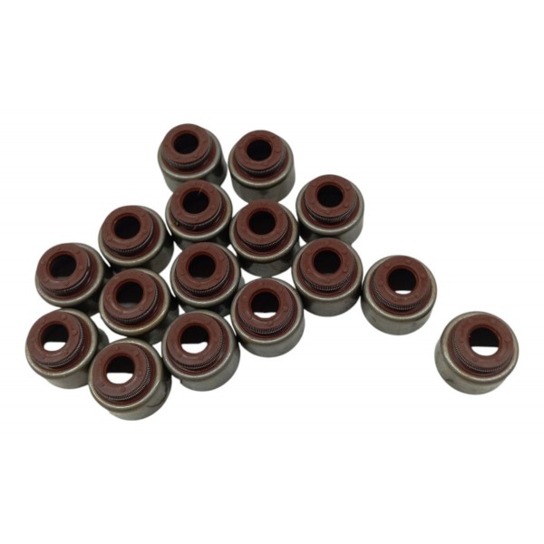 Kit 15 Retentor Haste Válvula Iveco Eurotech Eurostar