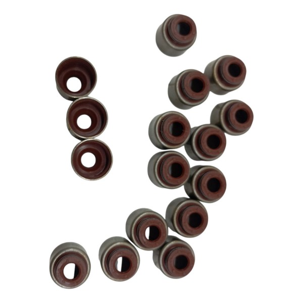 Kit 15 Retentor Haste Válvula Iveco Eurotech Eurostar