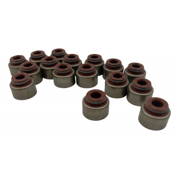 Kit 15 Retentor Haste Válvula Iveco Eurotech Eurostar