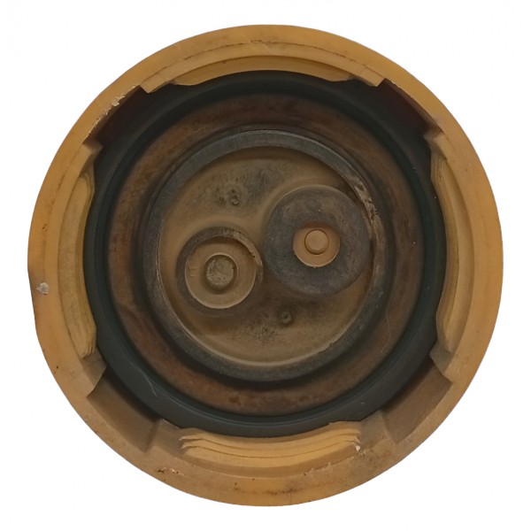 Tampa Reservatório Água Radiador Chevrolet Vectra 98 99 2000