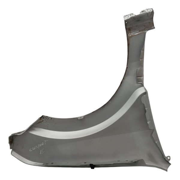 Paralama Esquerdo Ford Ecosport 2008 2009