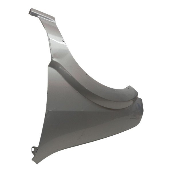 Paralama Esquerdo Ford Ecosport 2008 2009