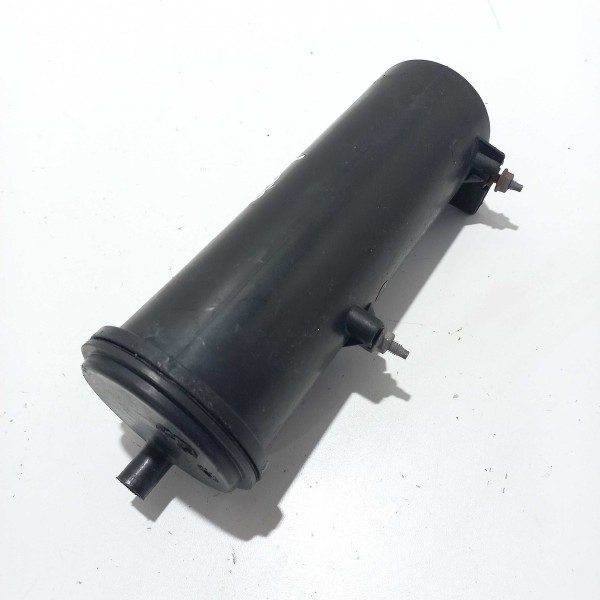 Filtro Canister Peugeot 207