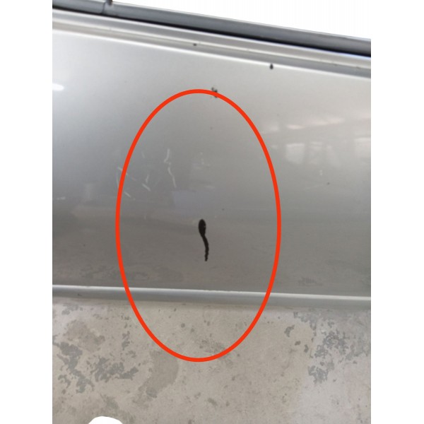 Porta Traseira Direita Peugeot 206 2004 2005 2006 Traseira Direito Prateado