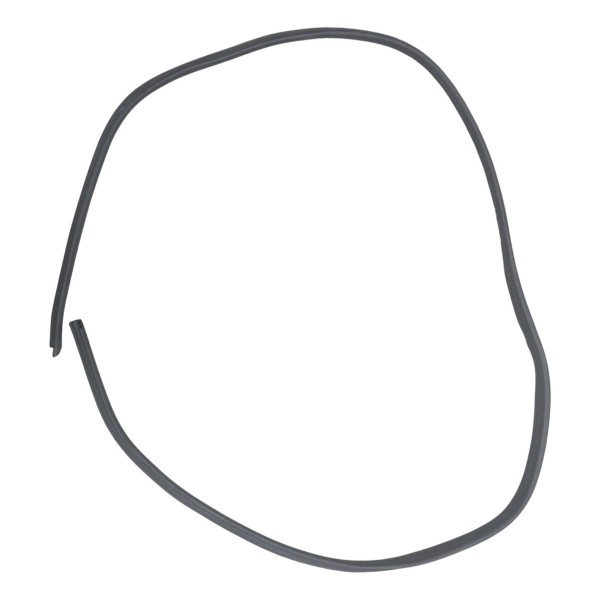 Borracha Porta Dianteira Esquerda Renault Logan 2007 2008 Preto