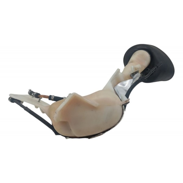 Reservatório Partida Frio Ford Ecosport 2.0 2007 2008 2009