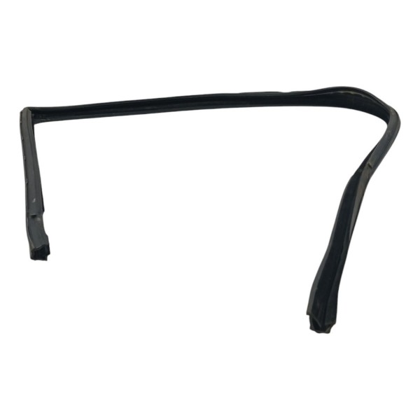 Borracha Vedação Porta Dianteira Direita Fiat Palio 2011 Preto