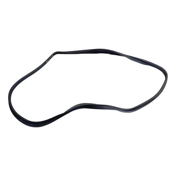 Borracha Vedação Porta Traseira Direita Fiat Palio 2014 2015 Preto