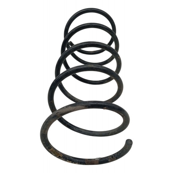 Par Molas Dianteira Esquerda Peugeot 206 1.4 2004 2005