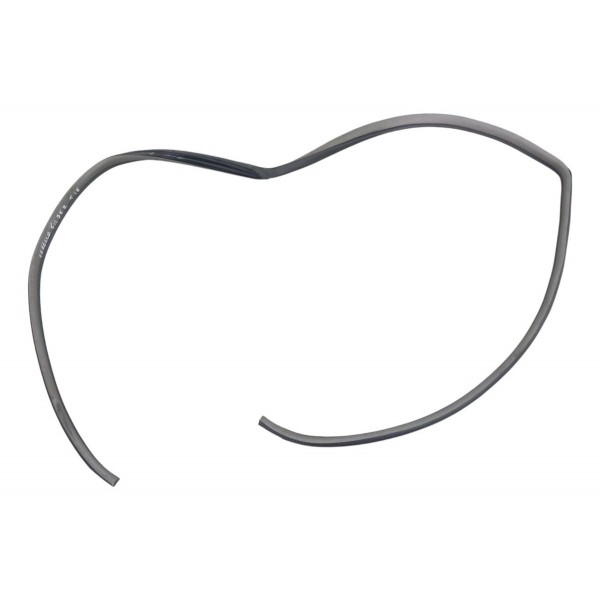 Borracha Vedação Porta Traseira Esquerda Toyota Fielder 2006