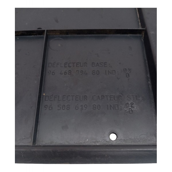 Protetor Defletor Parachoque Citroen C4 Pallas Hatch 2009