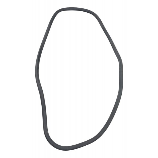 Borracha Vedação Porta Traseira Esquerda Gm Sonic 2011 2012