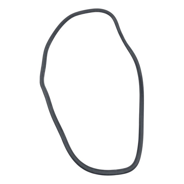 Borracha Vedação Porta Traseira Esquerda Gm Sonic 2011 2012