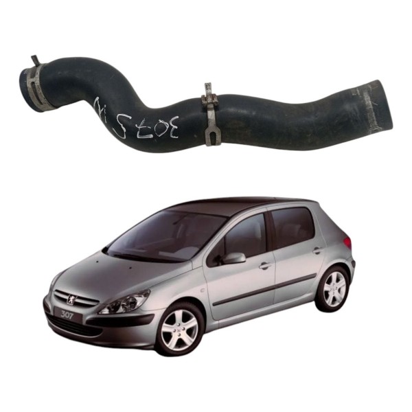Mangueira Radiador Peugeot 206 1.4 2003 2004 2005