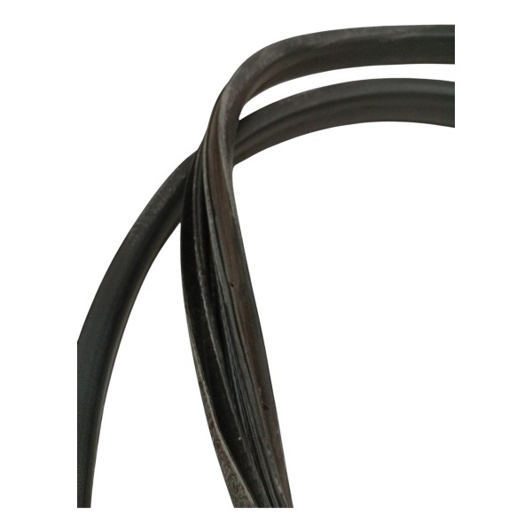 Borracha Porta Traseira Esquerda Renault Logan 2016 2017