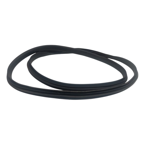 Borracha Porta Traseira Direita Renault Logan 2016 2017