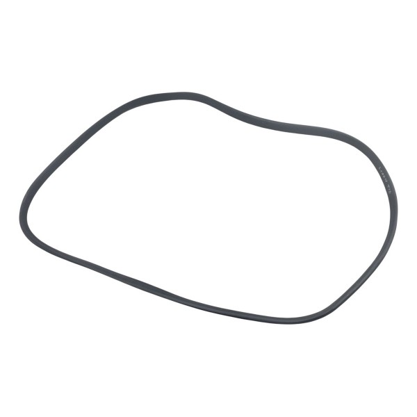 Borracha Porta Traseira Direita Renault Logan 2016 2017