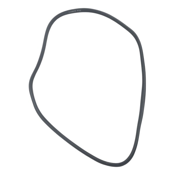 Borracha Porta Traseira Direita Renault Logan 2016 2017