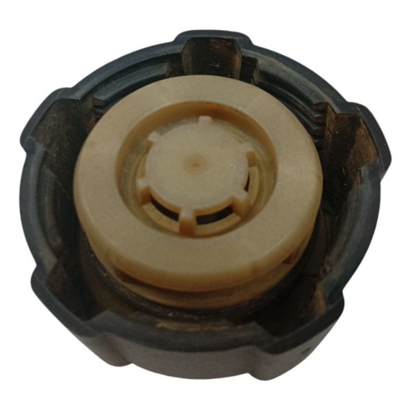 Tampa Reservatório Água Radiador Renault Megane 2001 2002