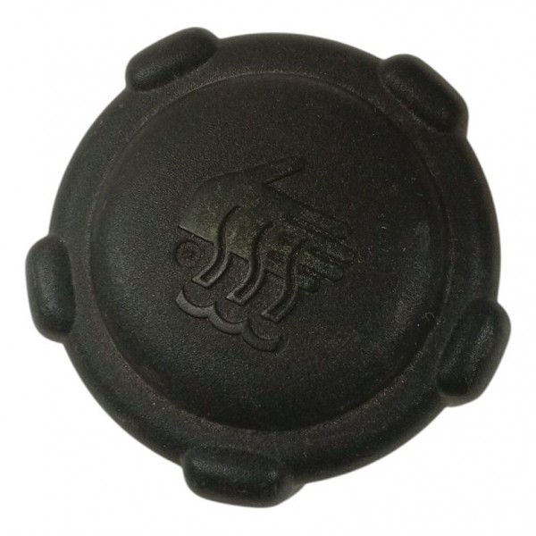 Tampa Reservatório Água Radiador Renault Megane 2001 2002