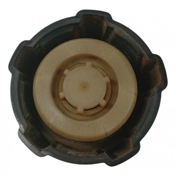 Tampa Reservatório Água Radiador Renault Megane 2001 2002