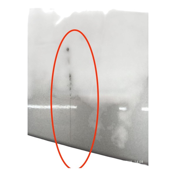 Aplique Tampa Traseira Chevrolet Captiva 2010 Detalhe