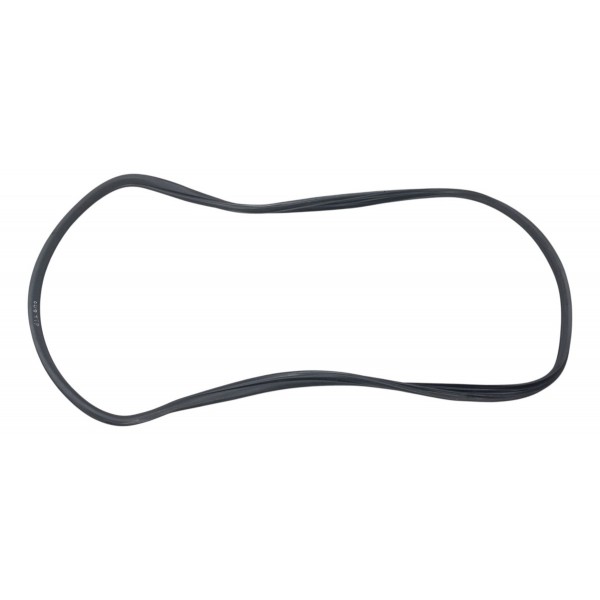 Borracha Porta Traseira Direita Renault Clio 2004 2005