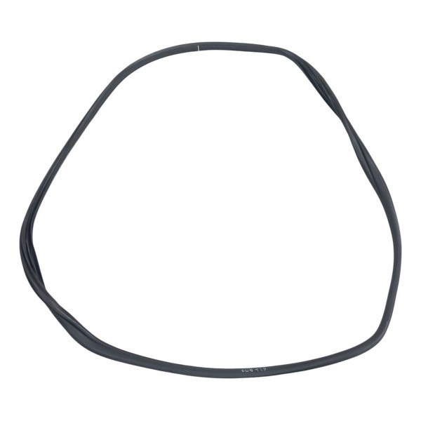 Borracha Porta Traseira Direita Renault Clio 2004 2005