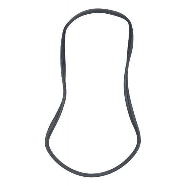 Borracha Porta Traseira Direita Renault Clio 2004 2005