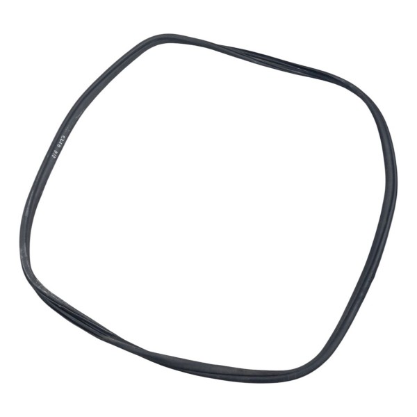 Borracha Porta Dianteira Direita Renault Clio 2004 2005