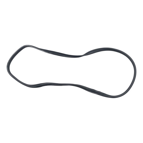 Borracha Porta Traseira Direita Renault Megane Gt 2009 2010