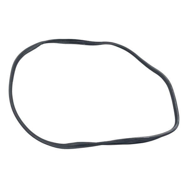 Borracha Porta Traseira Direita Renault Megane Gt 2009 2010