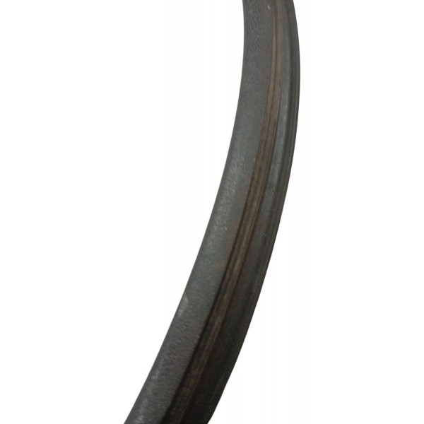 Borracha Porta Traseira Esquerda Renault Clio 2004 2005