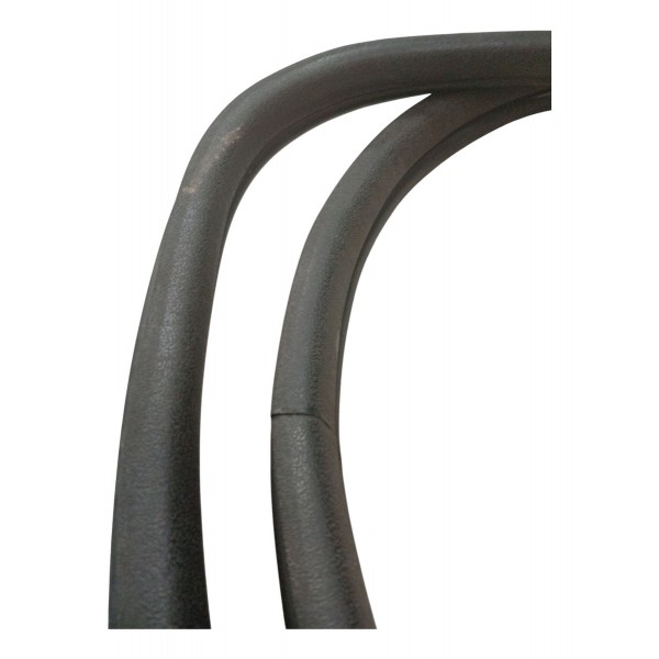 Borracha Porta Traseira Esquerda Renault Clio 2004 2005