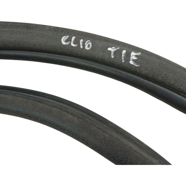 Borracha Porta Traseira Esquerda Renault Clio 2004 2005