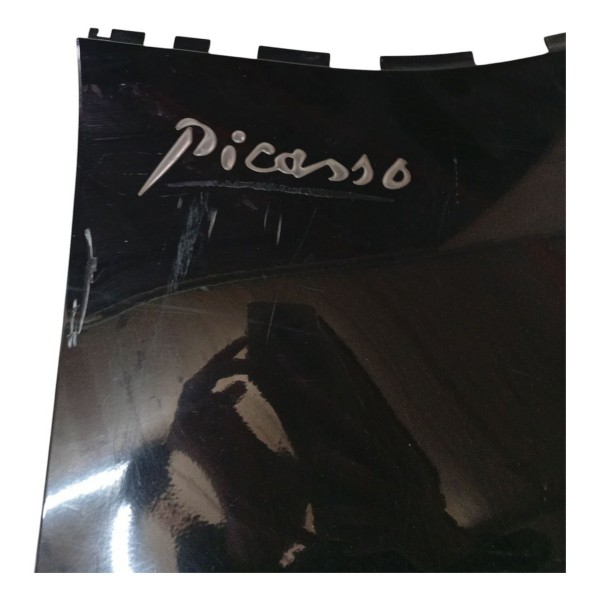 Paralama Dianteiro Esquerdo Citroen C4 Picasso 2009