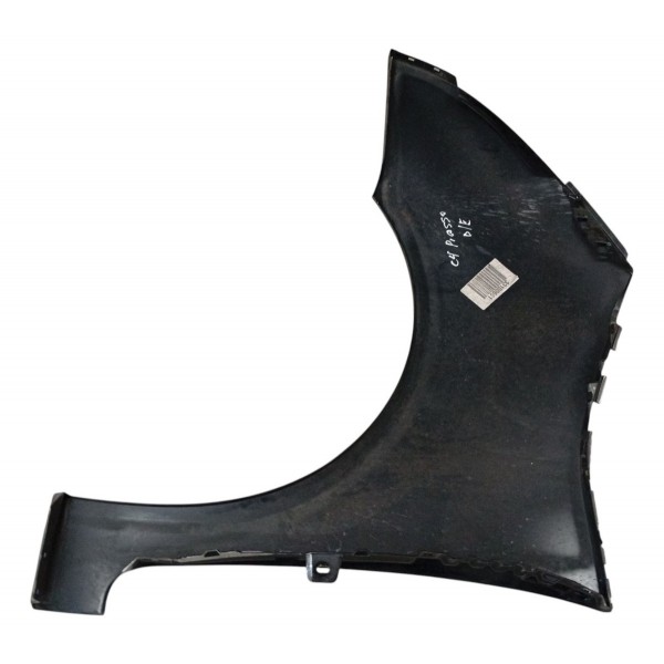 Paralama Dianteiro Esquerdo Citroen C4 Picasso 2009