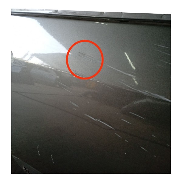 Porta Traseira Direita Ford Focus 2008