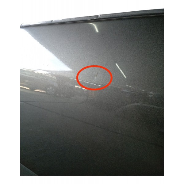 Porta Dianteira Direita Ford Focus 2008 Detalhe