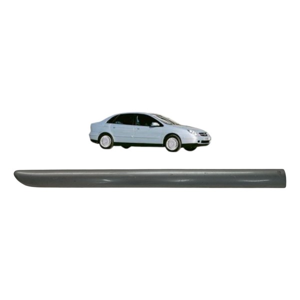 Friso Porta Dianteira Esquerda Citroen C5 2004 2005