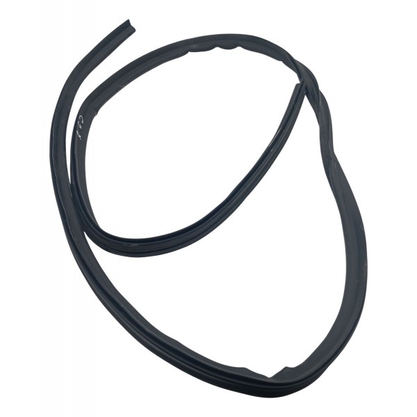 Borracha Canaleta Porta Esquerda Citroen C3 1.2 2018