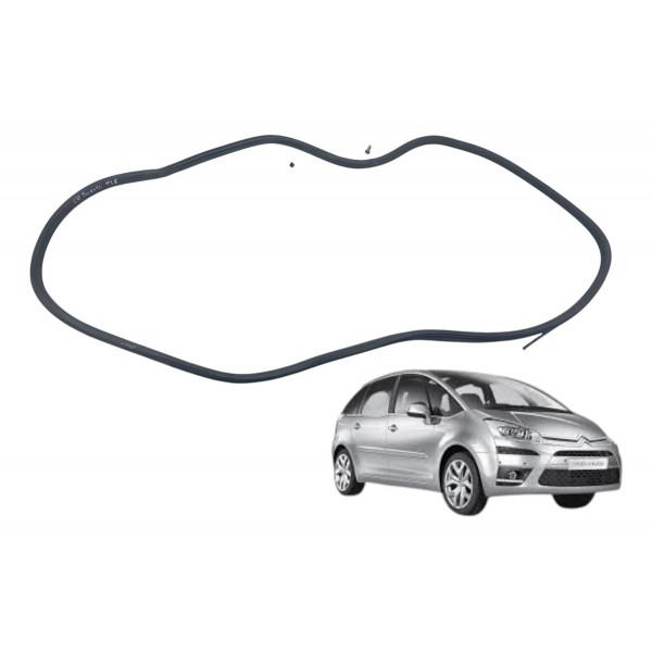 Borracha Porta Traseira Esquerda Citroen C4 Picasso 2009