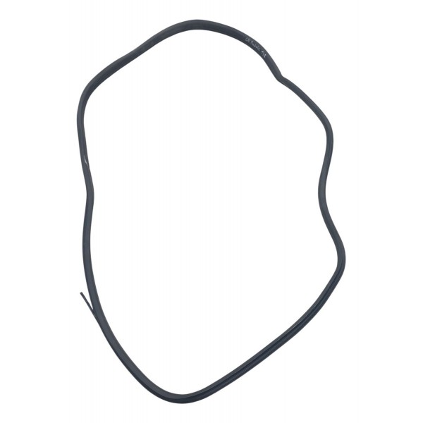 Borracha Porta Traseira Esquerda Citroen C4 Picasso 2009