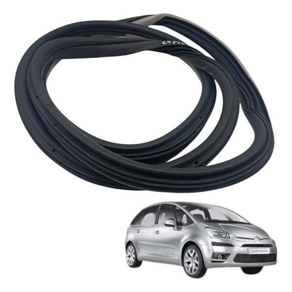 Borracha Porta Dianteira Direita Citroen C4 Picasso 2009